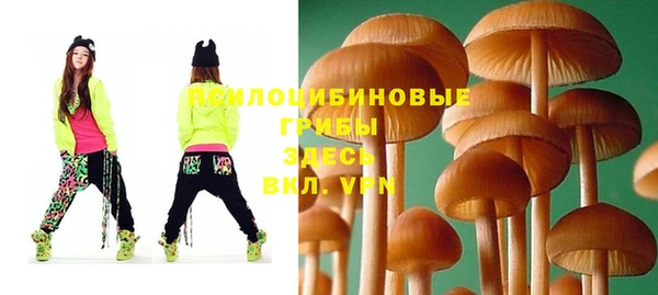 винт Мегион