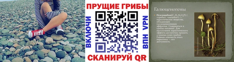 продажа наркотиков  Нальчик  Псилоцибиновые грибы ЛСД 